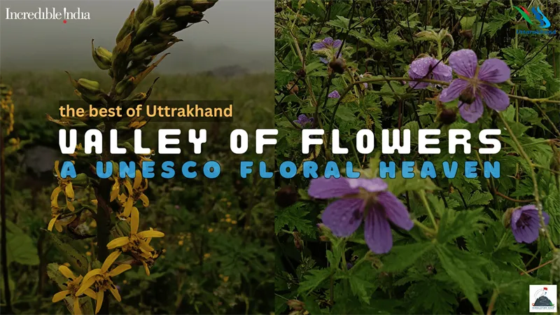 Valley of Flowers Hemkund Trek introduction