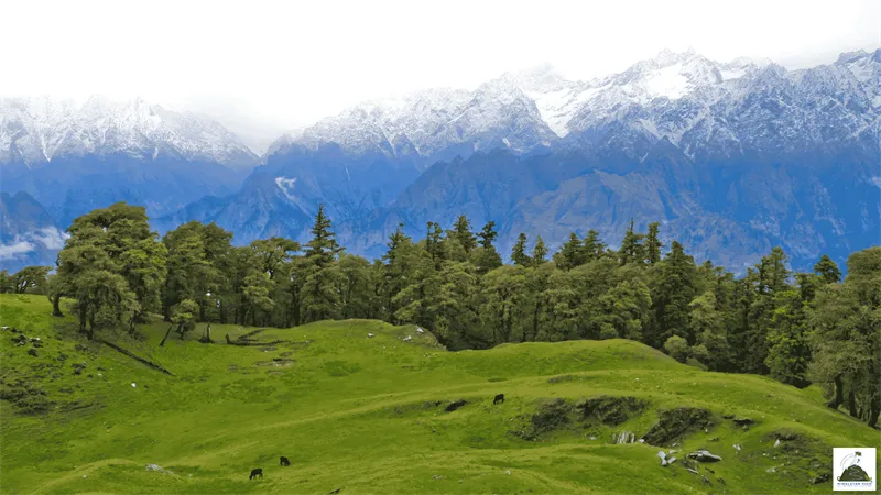 Dharansi Pass vs. Kuari Pass: Which Is For You?