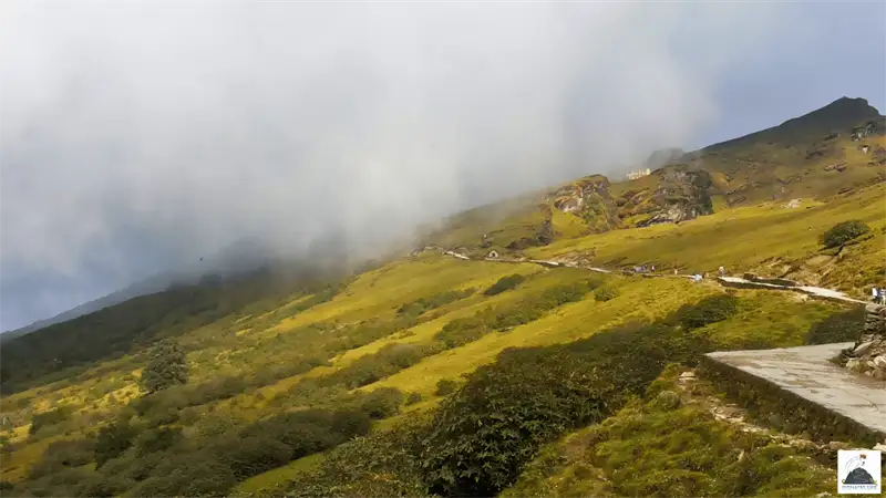 Rohini Bugyal: The Forest Traverse Between Deoriatal and Chopta