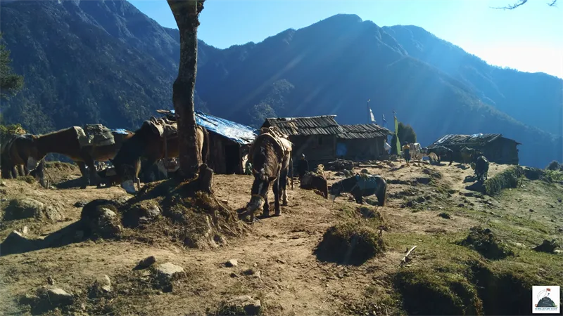  Singalila Goechala Circuit Trek highlights 