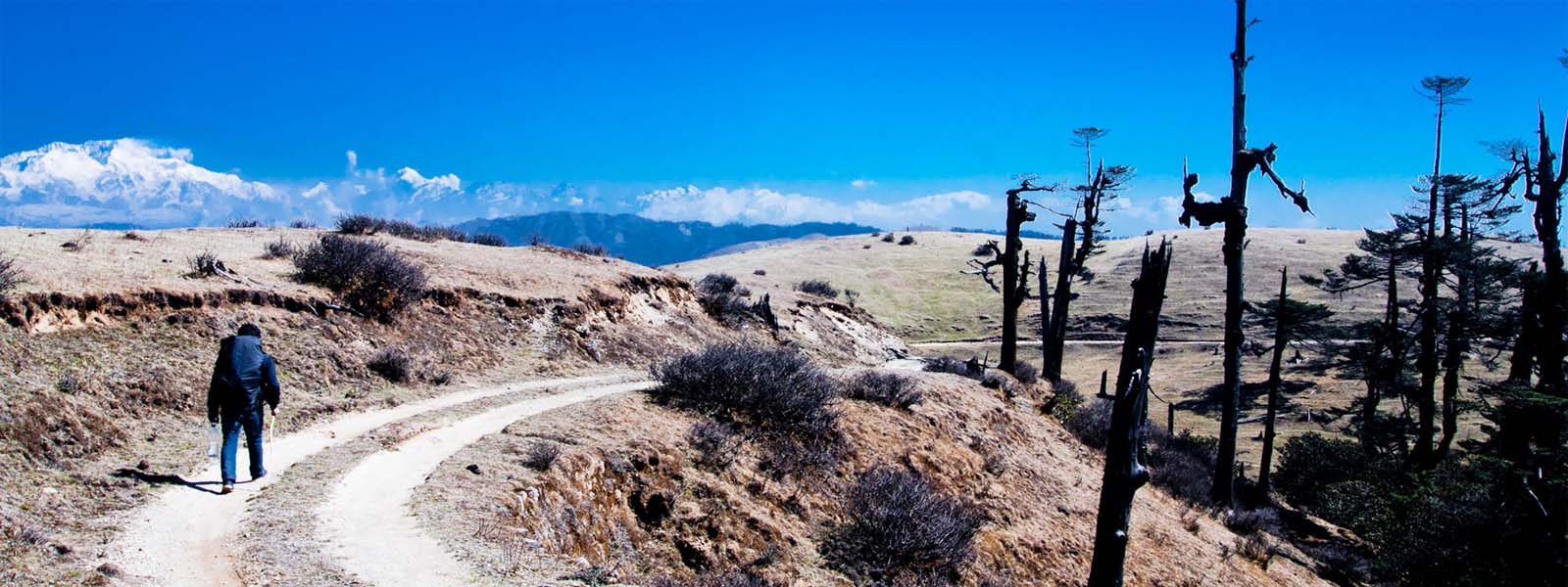  Sandakphu Phalut Landrover Safari highlights 
