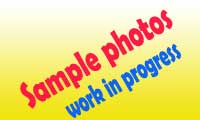 sample photo