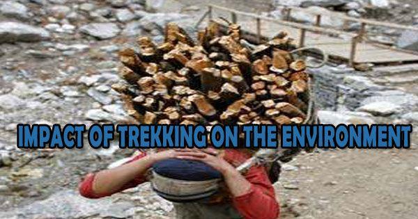 Impact Of Trekking On The Environment