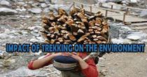 Impact Of Trekking On The Environment