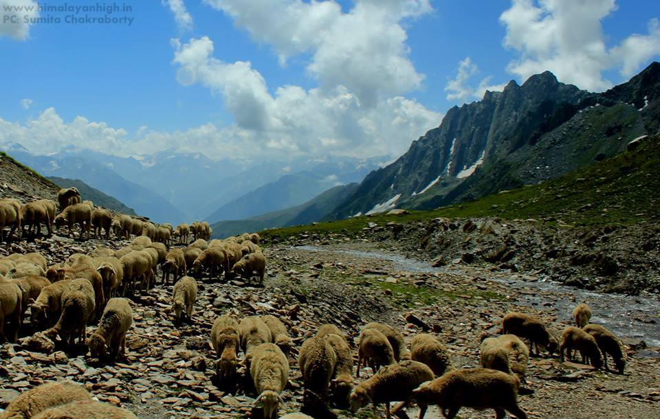  Enchanting Beauty of the Kashmir Great Lakes Trek 