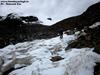 day8 photo - after crossing the pin parvati pass