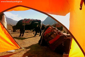 OrgBrandingNameForAlbumImages - Dzongri Goechala Trek Description1